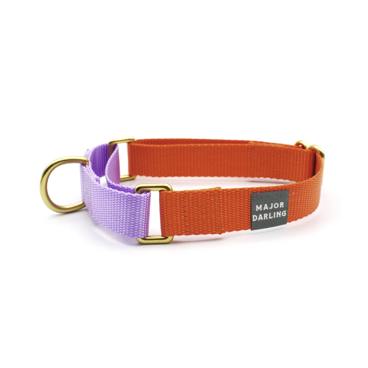 Orange martingale collar sale