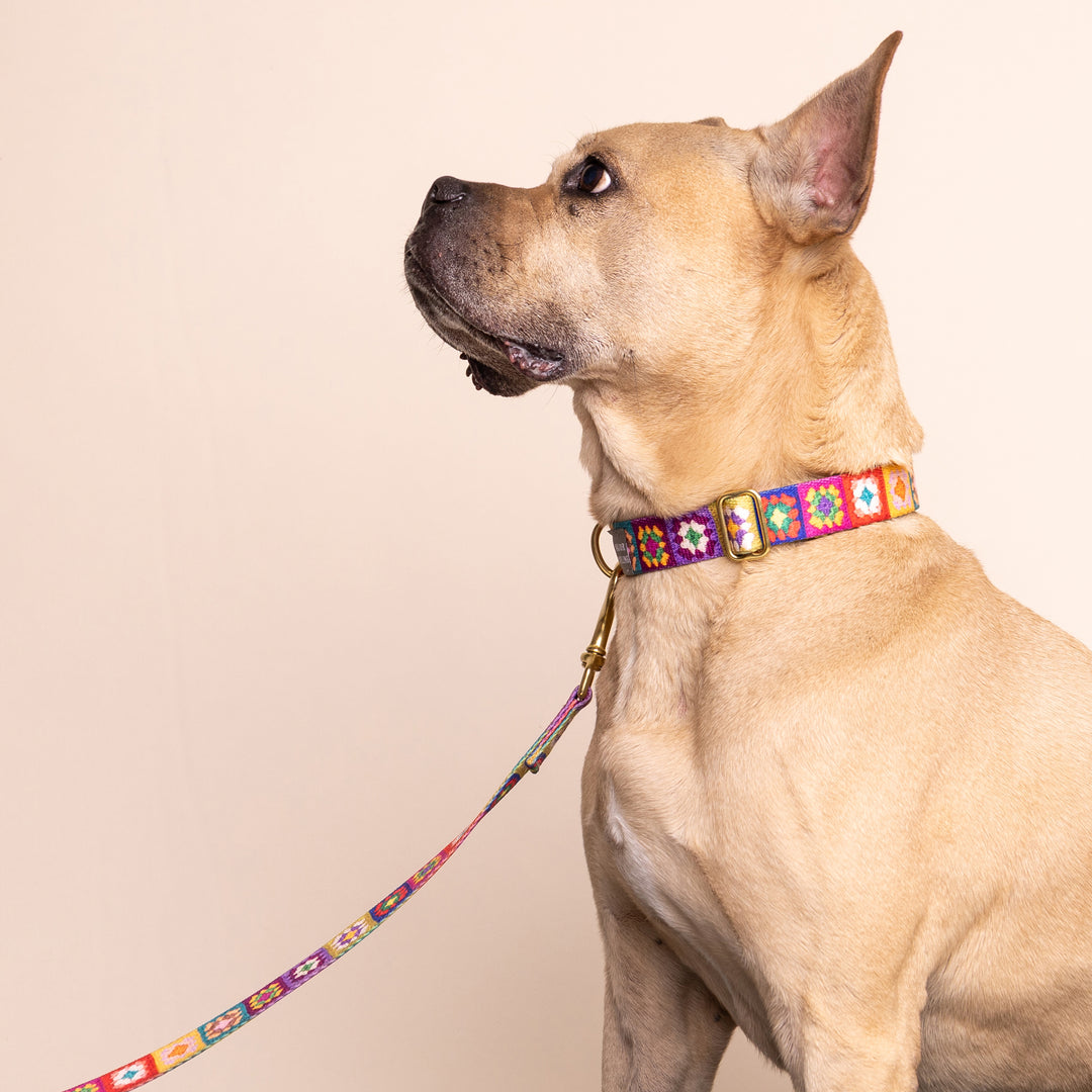 *NEW - PREORDER* not-so-basic snap collar / granny squares print