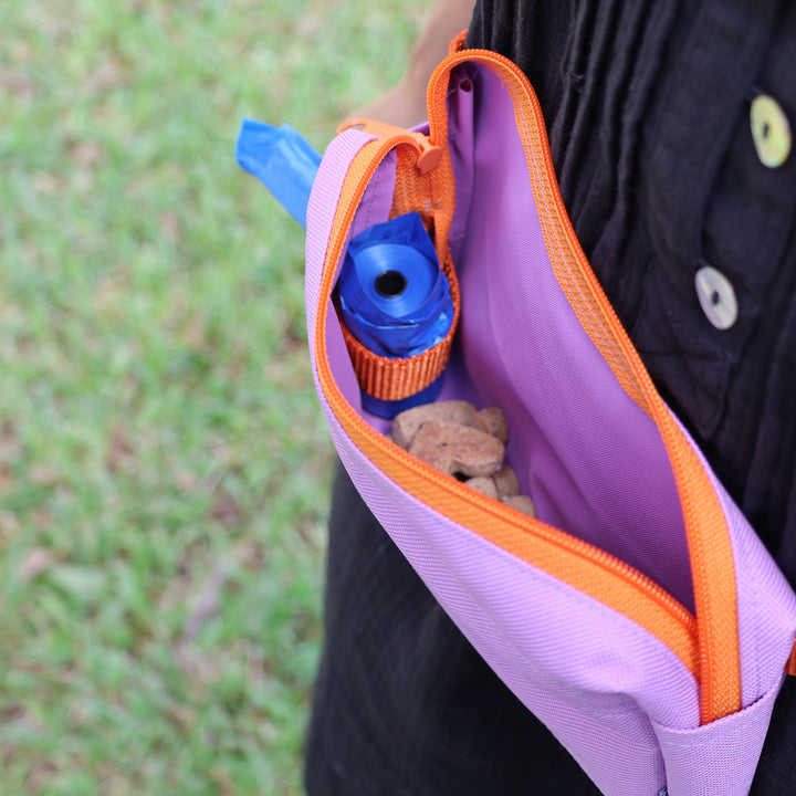 dog walking fanny pack