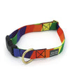 not-so-basic snap collar / rainbow