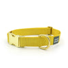 brass snap collar - Major Darling