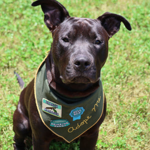 Merit badge: Scout Bandana add-on - Major Darling