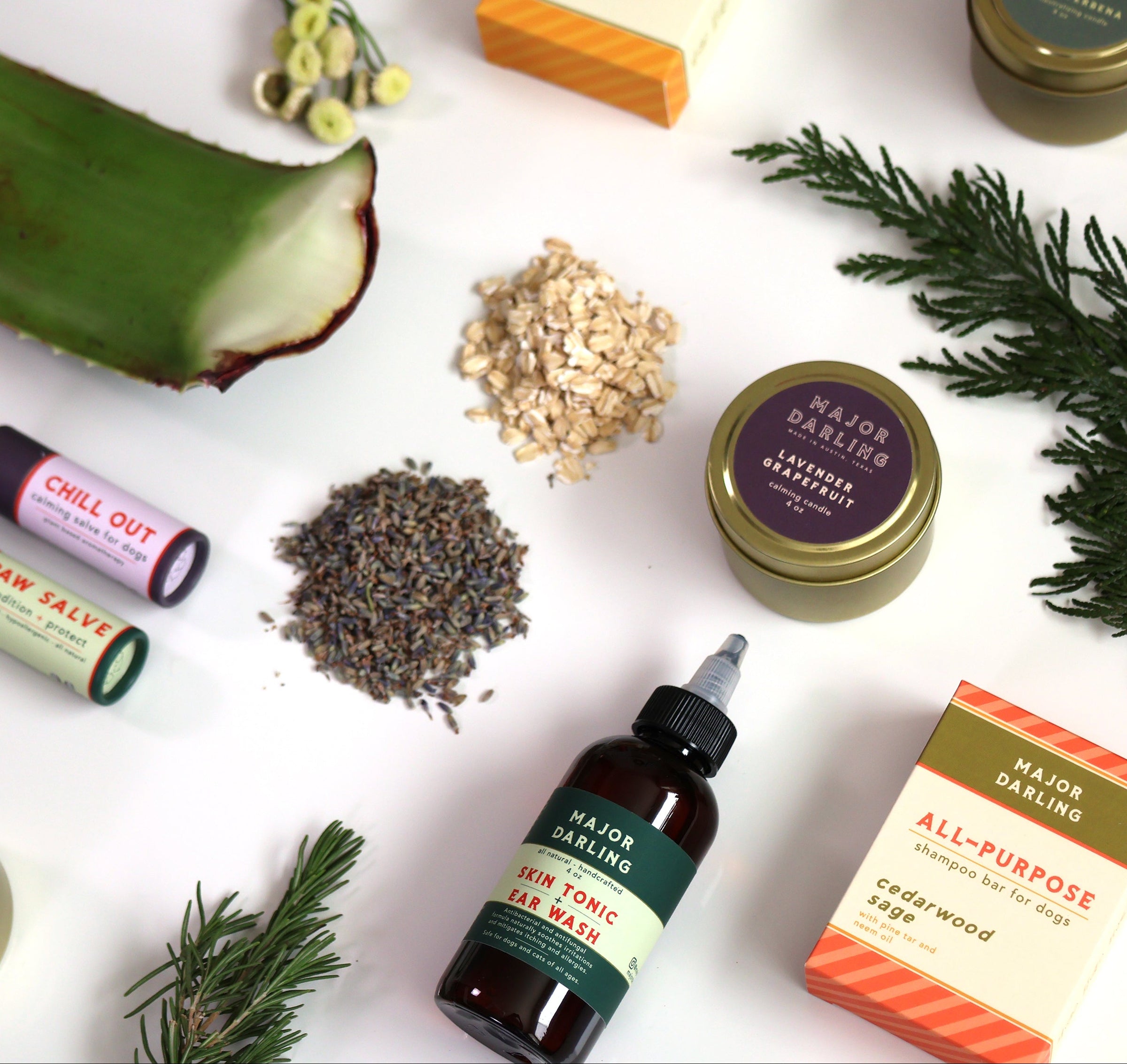 Collection of natural pet care products on a white background with herbs and plants.