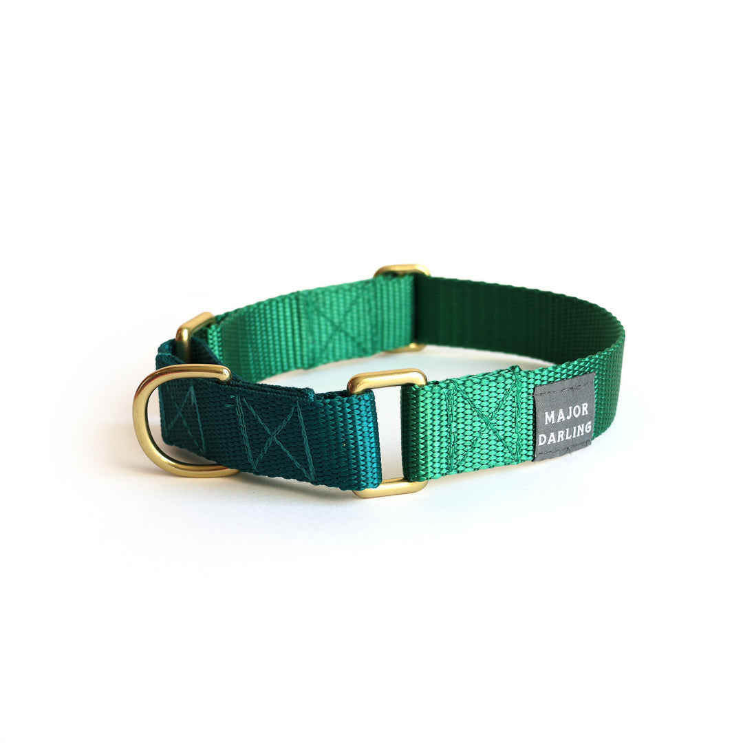 martingale collar / solid colors