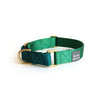 martingale collar / kelly green + teal / limited edition