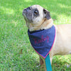 chambray scout bandana