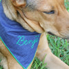 chambray scout bandana