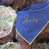 chambray scout bandana