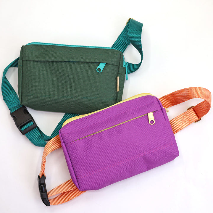 dog walking fanny pack