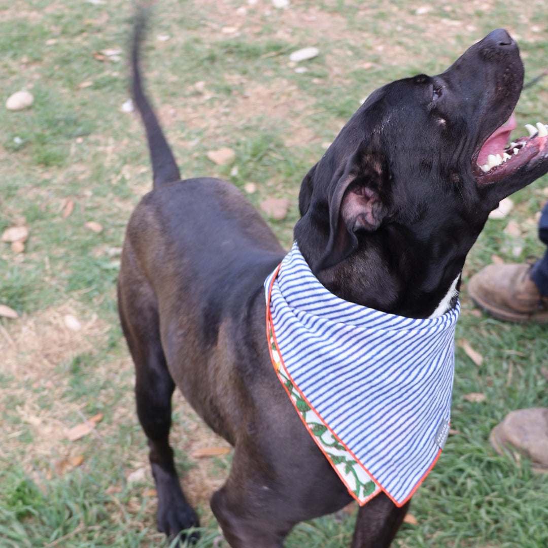 reversible bandana / floral vines