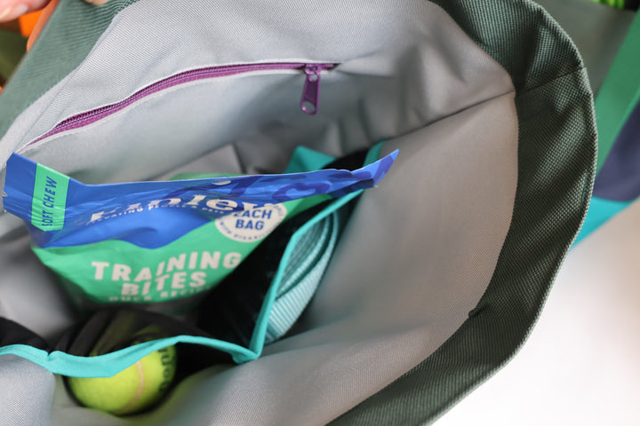 *new* dog day tote