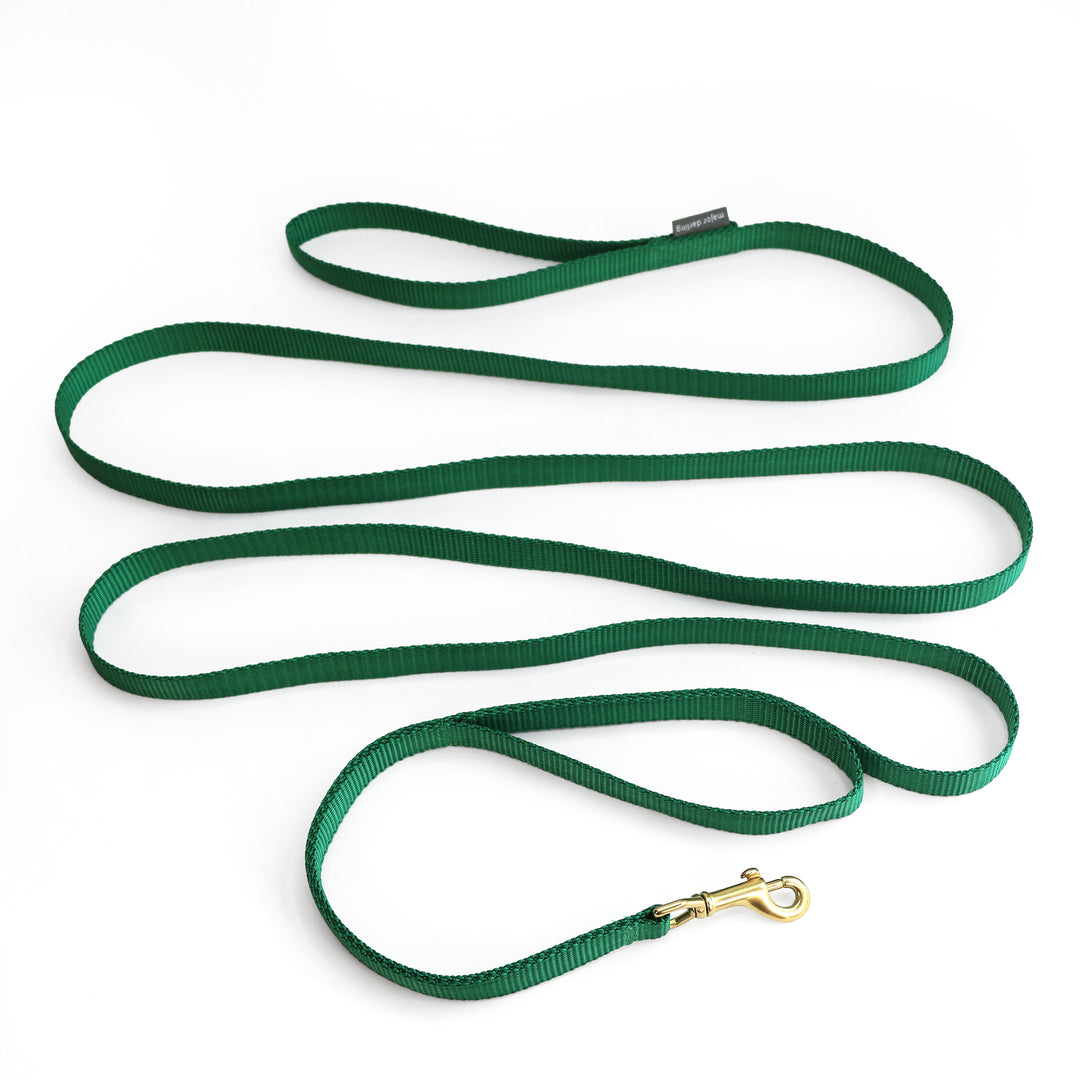 long training leash + holster set