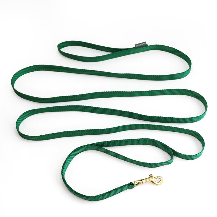 long training leash + holster set