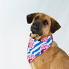 bandana / blue peacocks + stripes