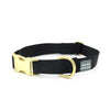 sample sale / brass snap collar