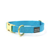 sample sale / brass snap collar