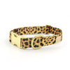 not-so-basic snap collar / leopard