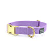 brass snap collar - Major Darling