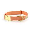 brass snap collar - Major Darling