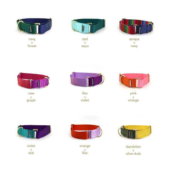 1.5" wide martingale collar - custom colors