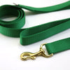 double handle leash / kelly green / limited edition