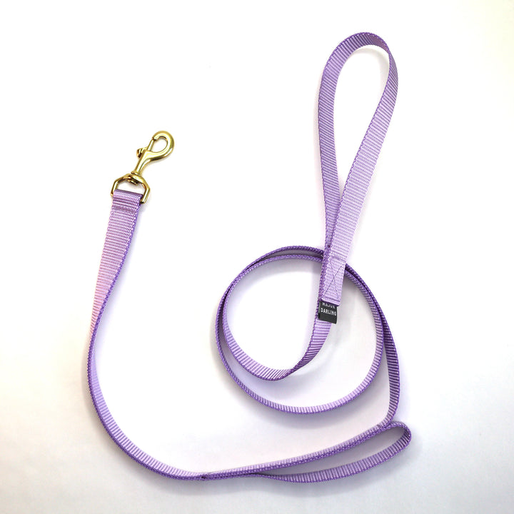 double handle leash / traffic leash