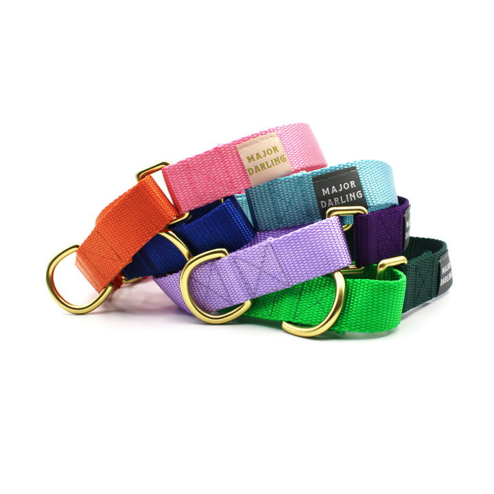 AUSTIN PETS ALIVE! DONATION PACK: martingale collars