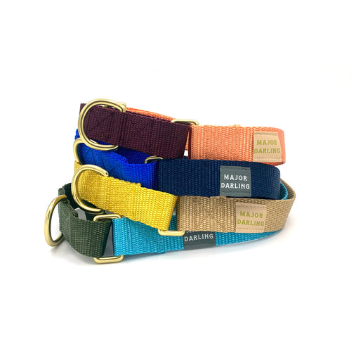 custom martingale dog collar