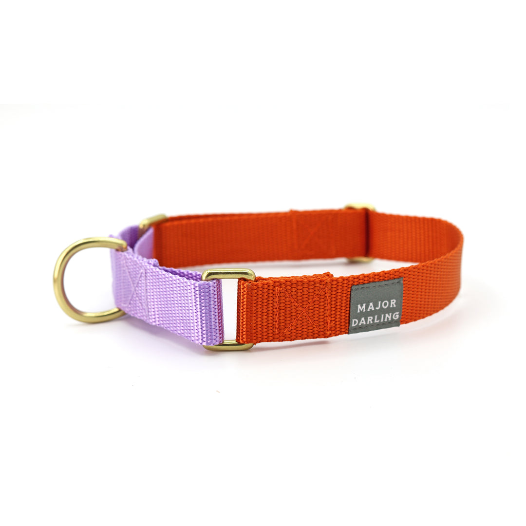 martingale collar / solid colors