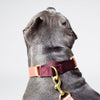 martingale collar / peach + merlot