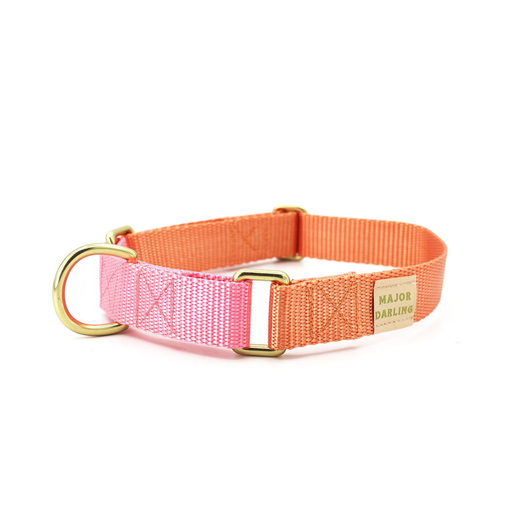 martingale collar / solid colors