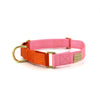 martingale collar / pink + orange