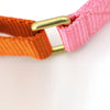 martingale collar / pink + orange