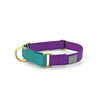 martingale collar / violet + teal