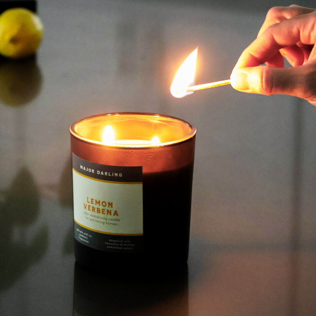 odor neutralizing candles / travel + full size