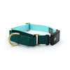 Series 3 (THREE) Fi compatible martingale collar / custom colors