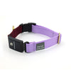 Series 3 (THREE) Fi compatible snap collar / custom colors