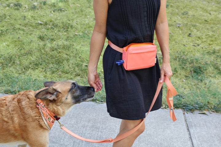 dog walking fanny pack - Major Darling