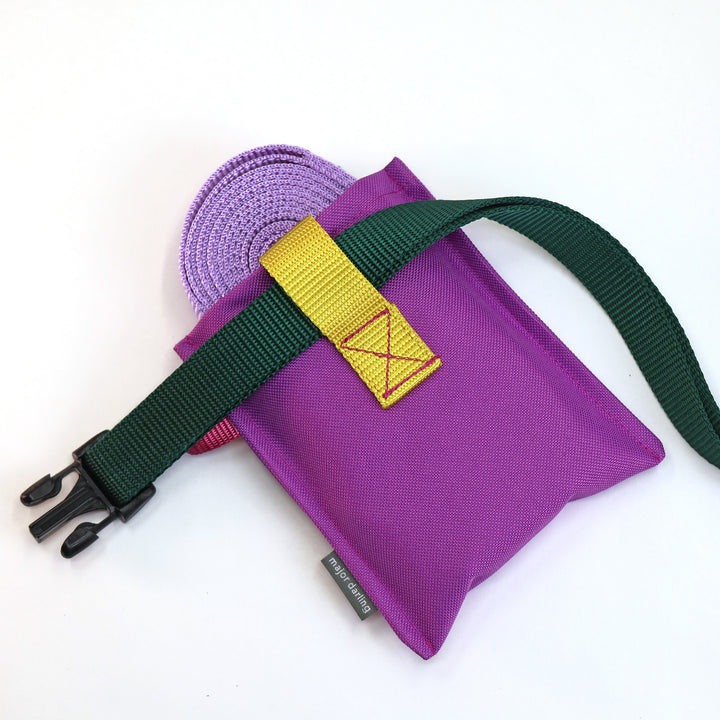 long training leash holster