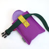 long training leash holster
