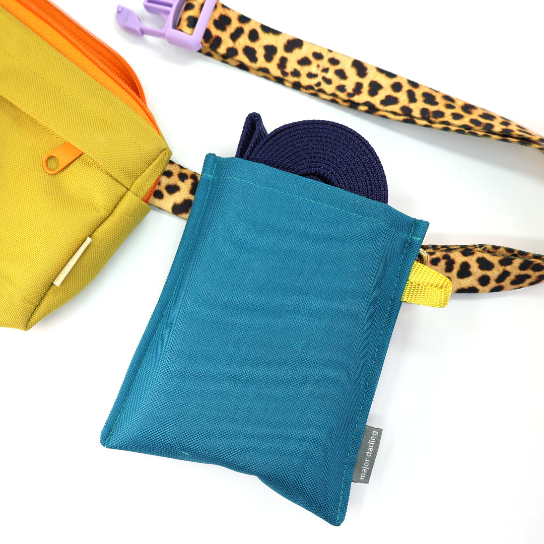 long training leash holster