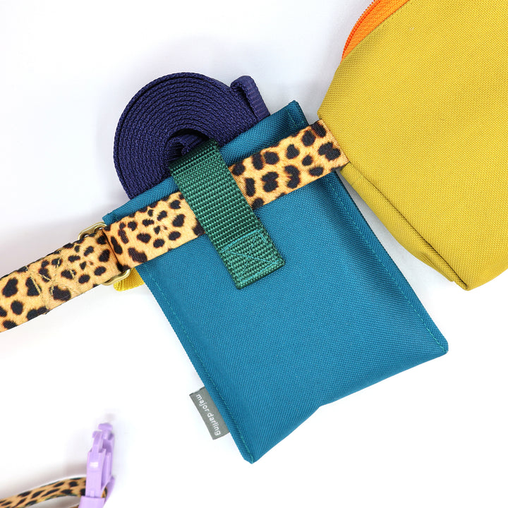 long training leash holster