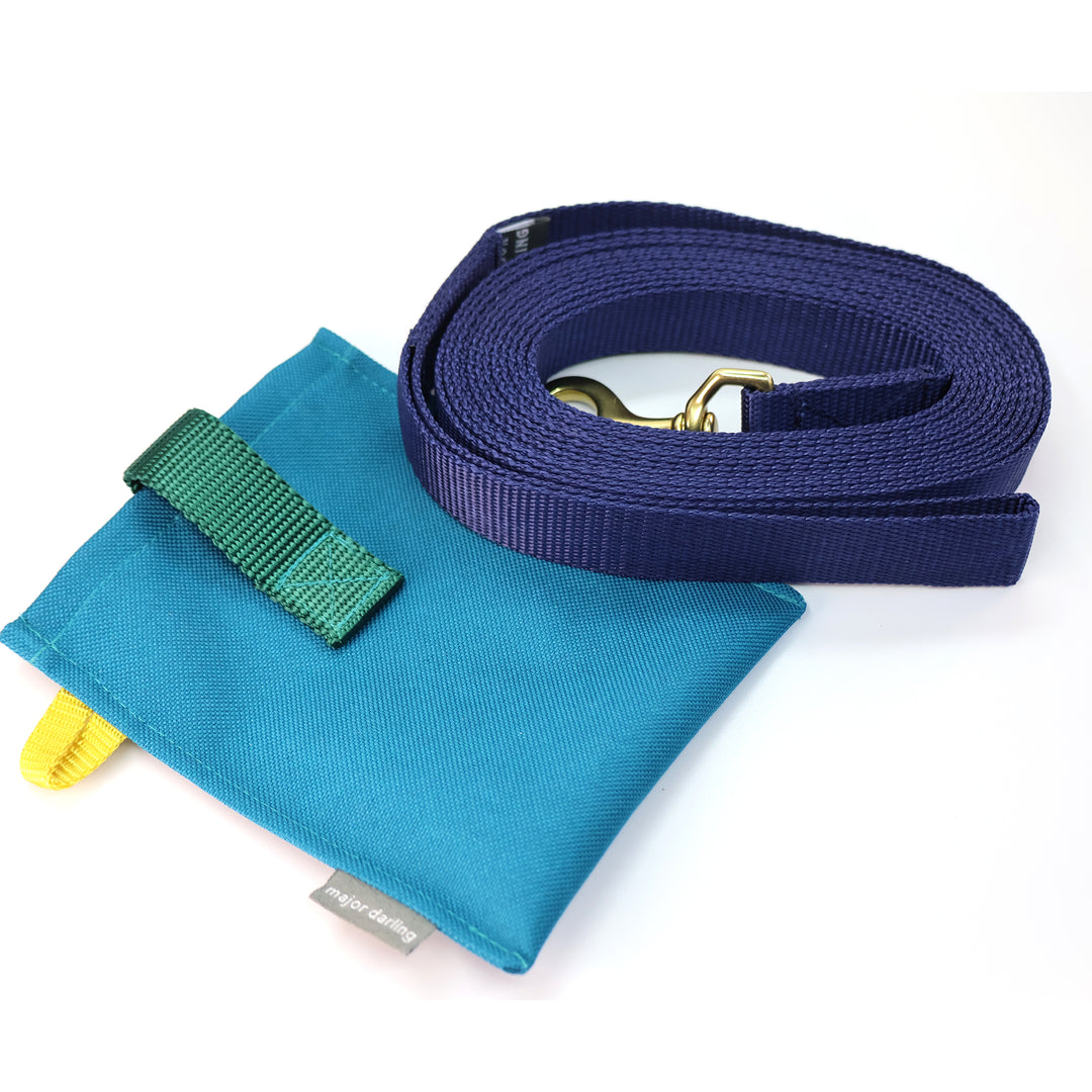 long training leash holster