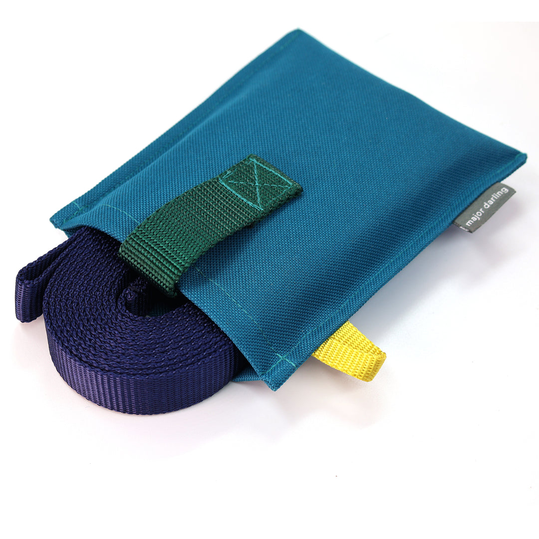 long training leash holster