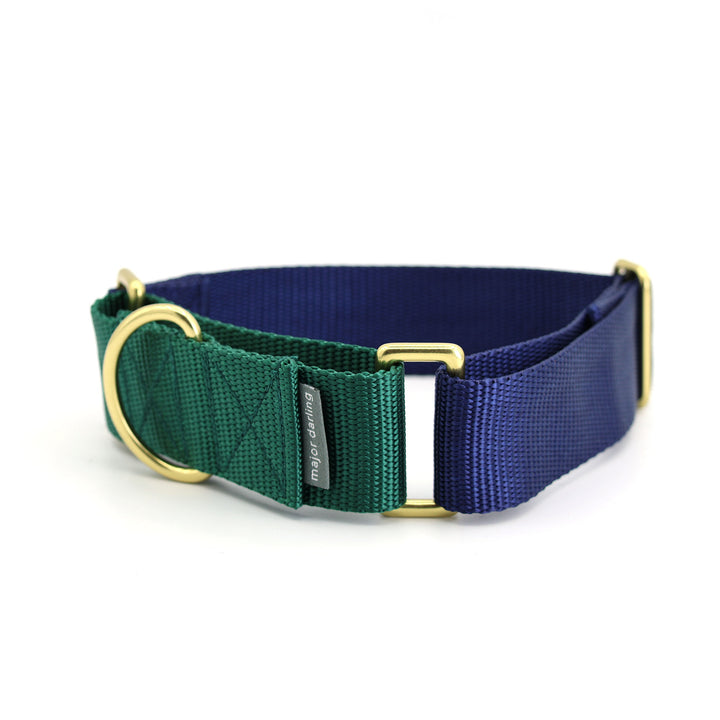 1.5" wide martingale collar - custom colors