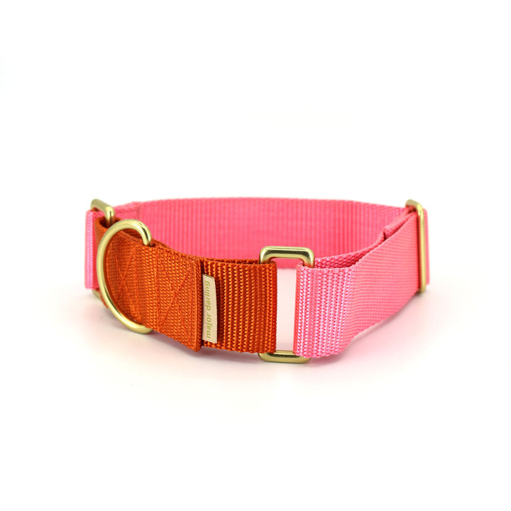 1.5" wide martingale collar - custom colors