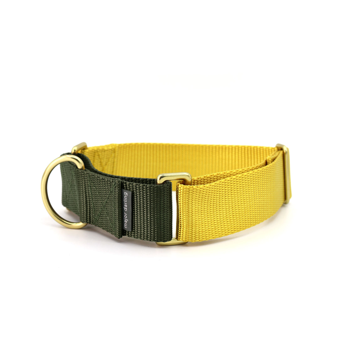 1.5" wide martingale collar - custom colors