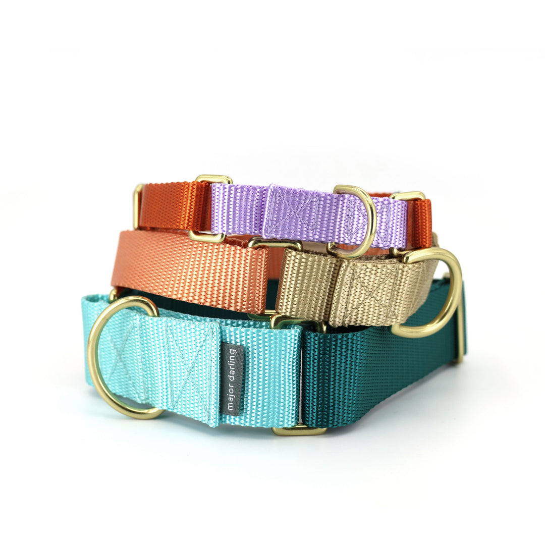 1.5" wide martingale collar - custom colors