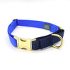 side-release martingale collar / brass snap - Major Darling