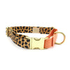 side-release martingale collar / brass snap - Major Darling